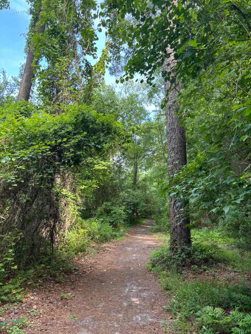 walking near me in Northeast Creek Park in summer