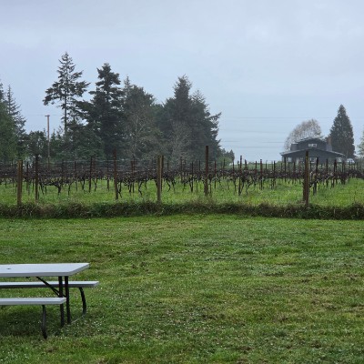 Circana -  CAP Shawn F post image