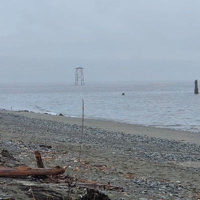 Circana -  CAP Shawn F post image