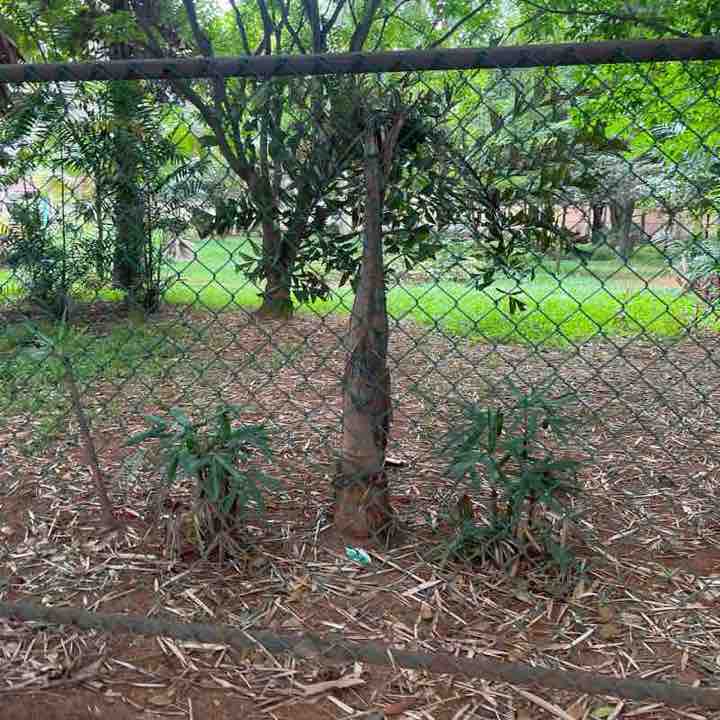 Jagadish post 2