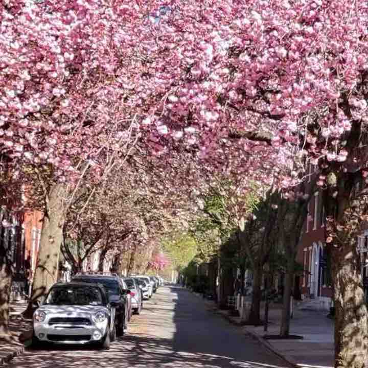 B-Well Step Society Keith post image