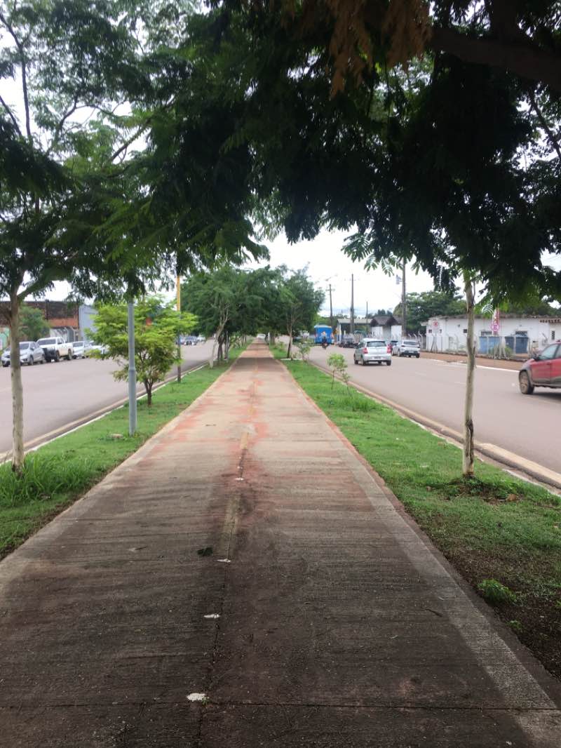 walking near me in Parque da Cidade in autumn