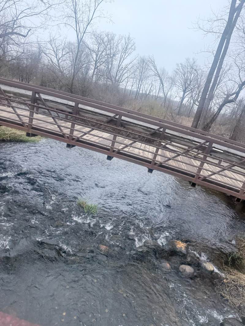 walking near me in Portage Creek Bicentennial Park - Celery Flatts Historical Area in spring