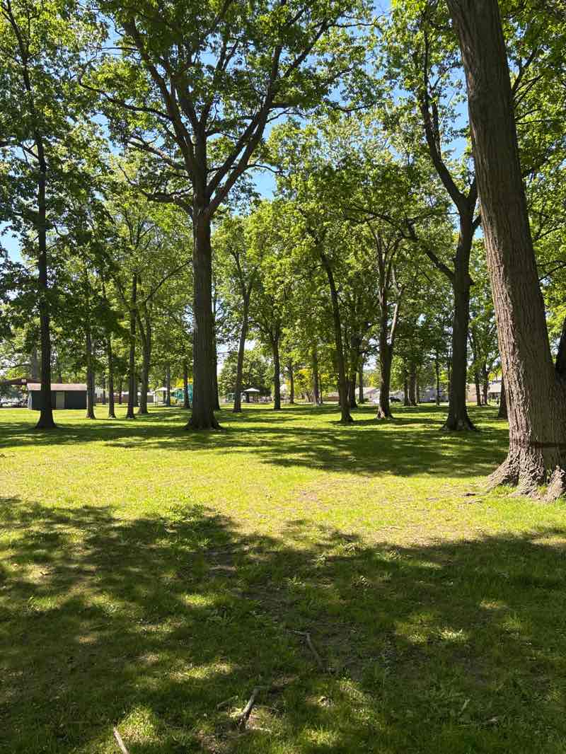 walking near me in Green Acres Park in summer
