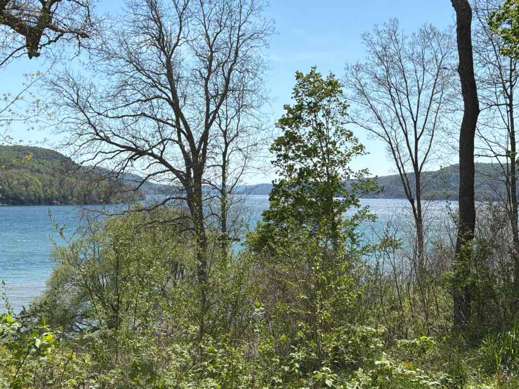 walking near me in Glimmerglass State Park in spring
