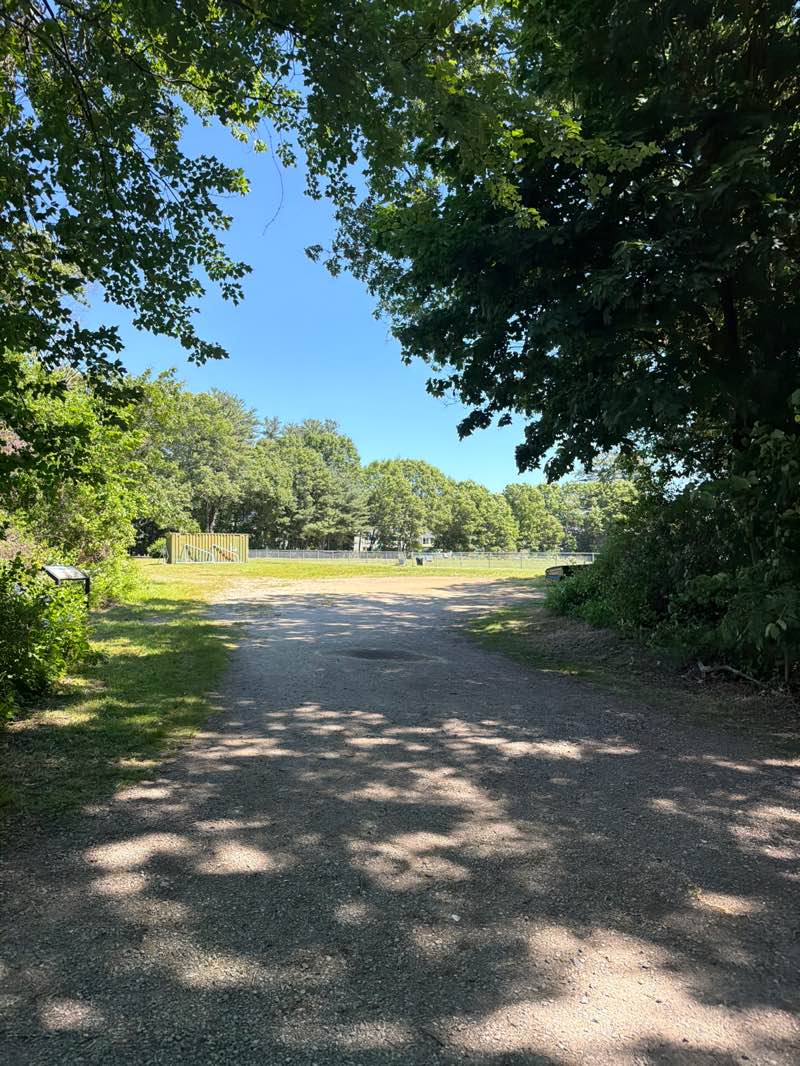 walking near me in Akeson Park in summer