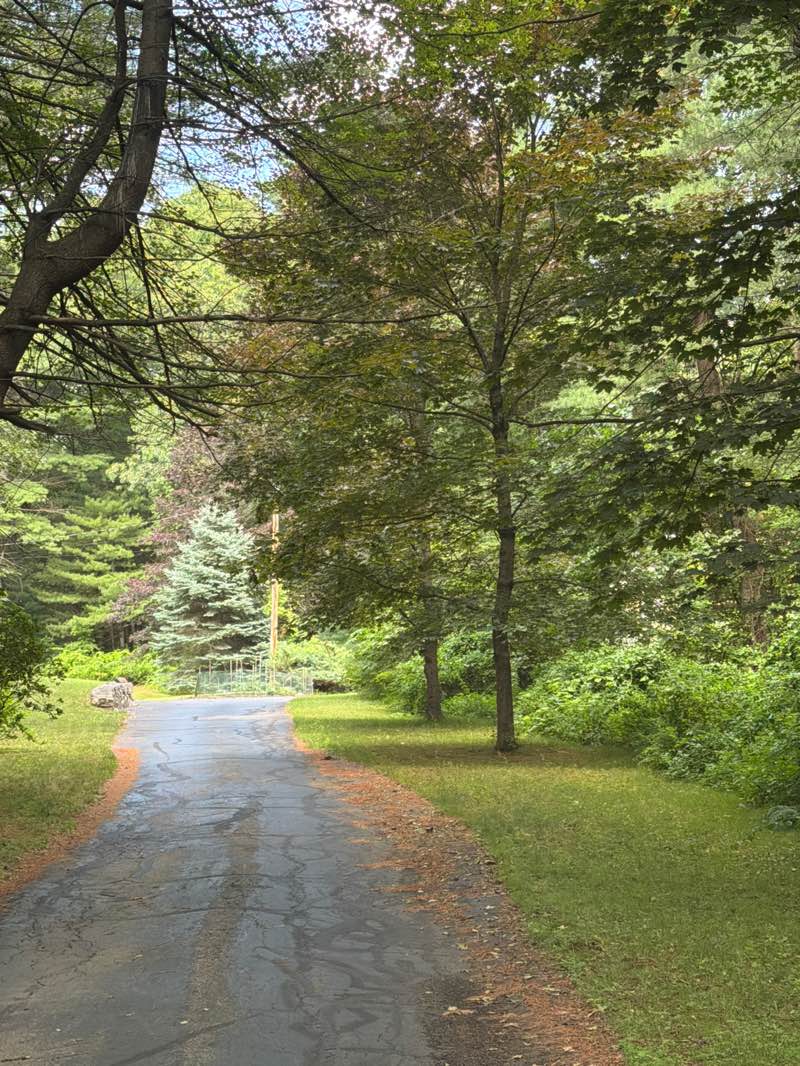 walking near me in Bigelow Street Conservation Land in summer
