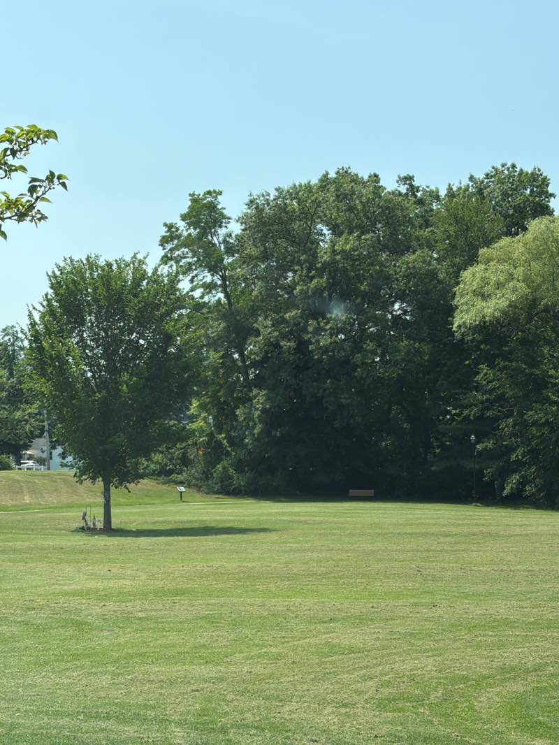 walking near me in Rotary Park in summer