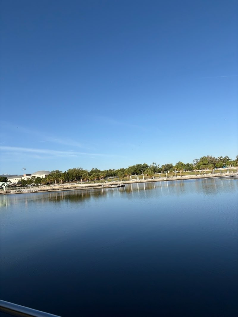 walking near me in Curtis Hixon Waterfront Park in spring