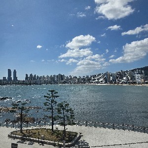 매력맘 profile