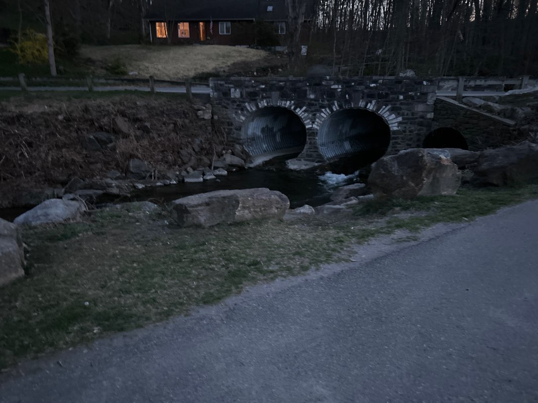 walking near me in Veterans Memorial Park in spring