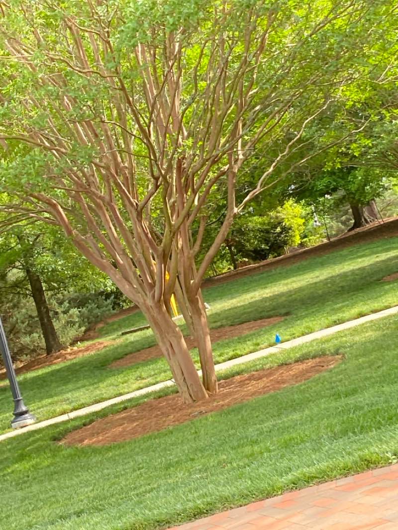 walking near me in Brooke Street Park in spring