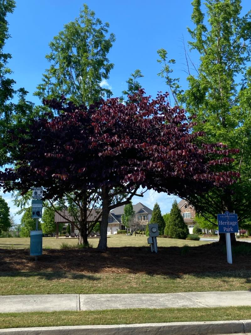 walking near me in Heritage Park in spring
