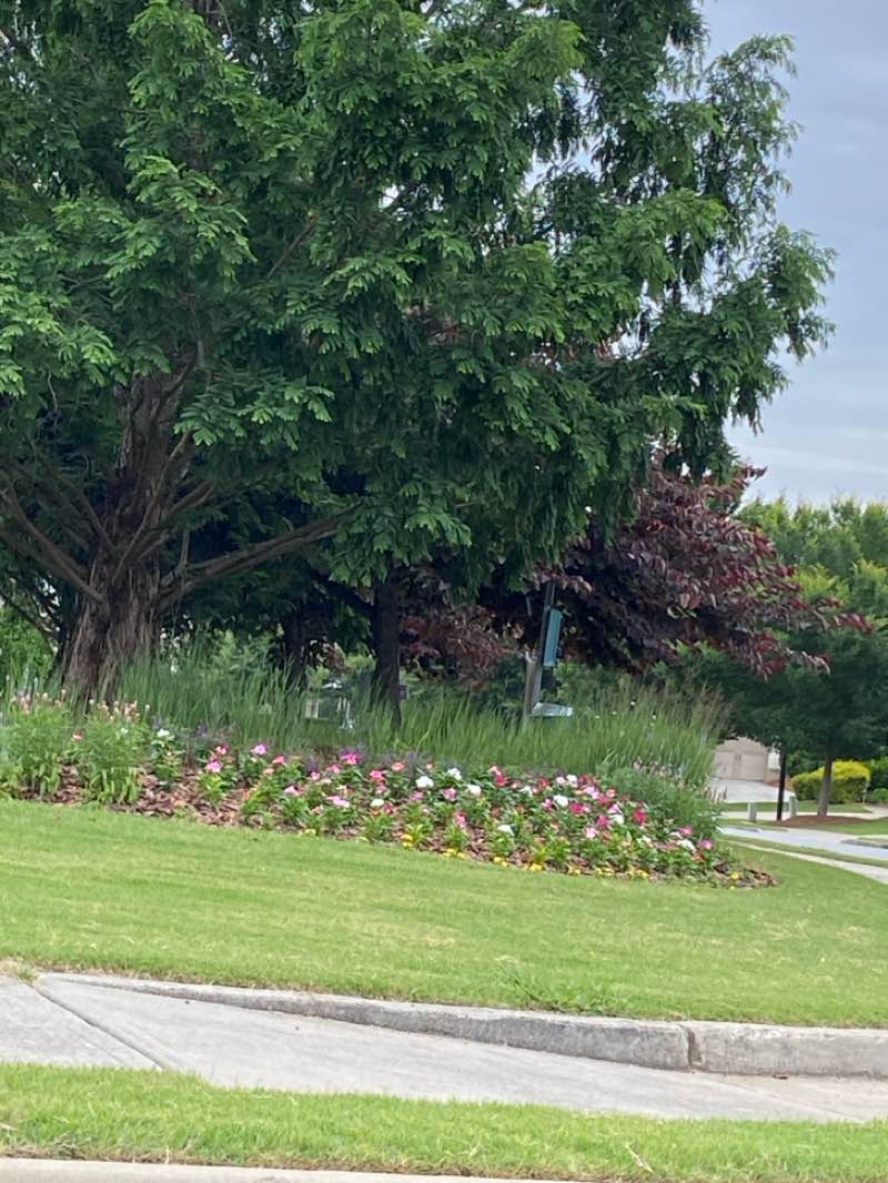 walking near me in Heritage Park in summer