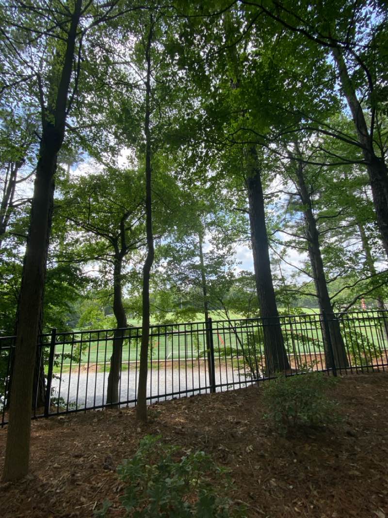 walking near me in Webb Bridge Park in summer