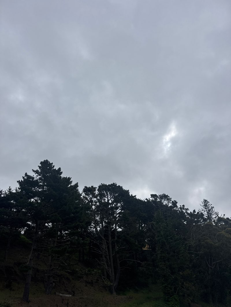 walking near me in Fairmont West Park in spring