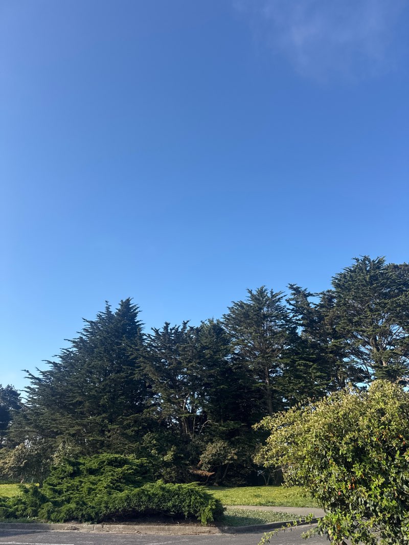 walking near me in Fairmont Park in spring