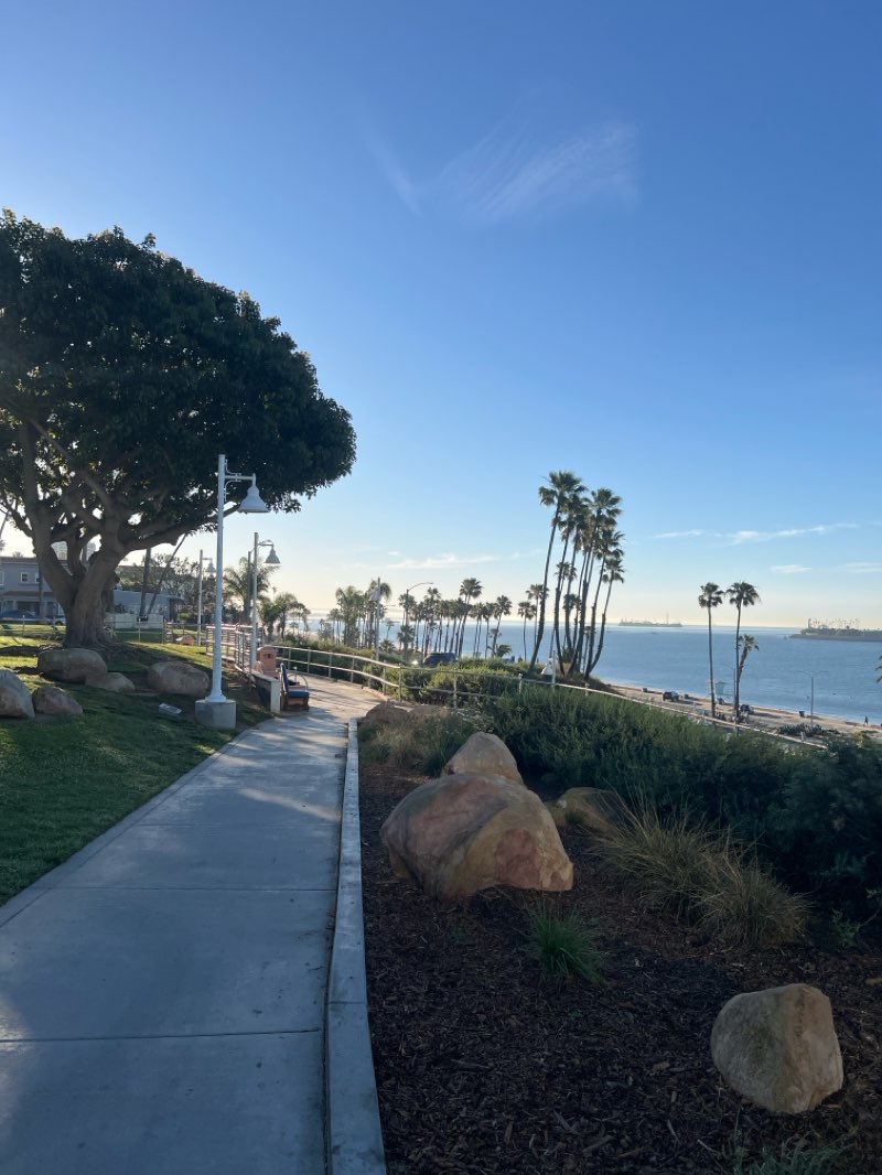 walking near me in Bluff Park in spring