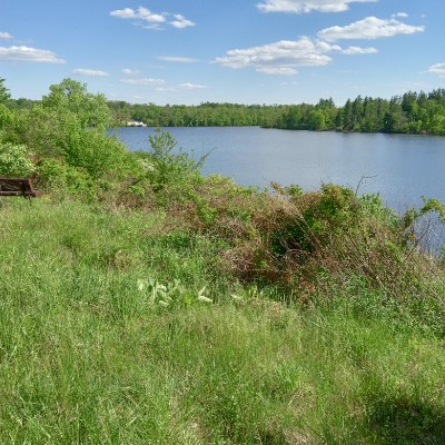 Walk with Me Complete Wellnes deckerg11 post image