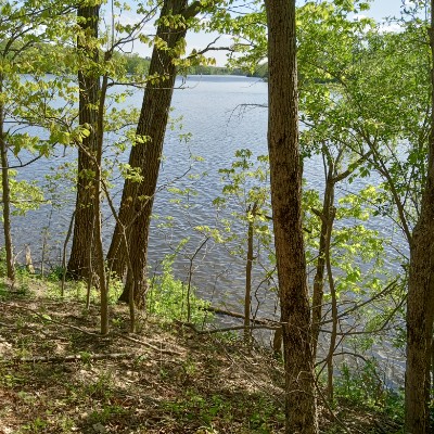 Walk with Me Complete Wellnes deckerg11 post image