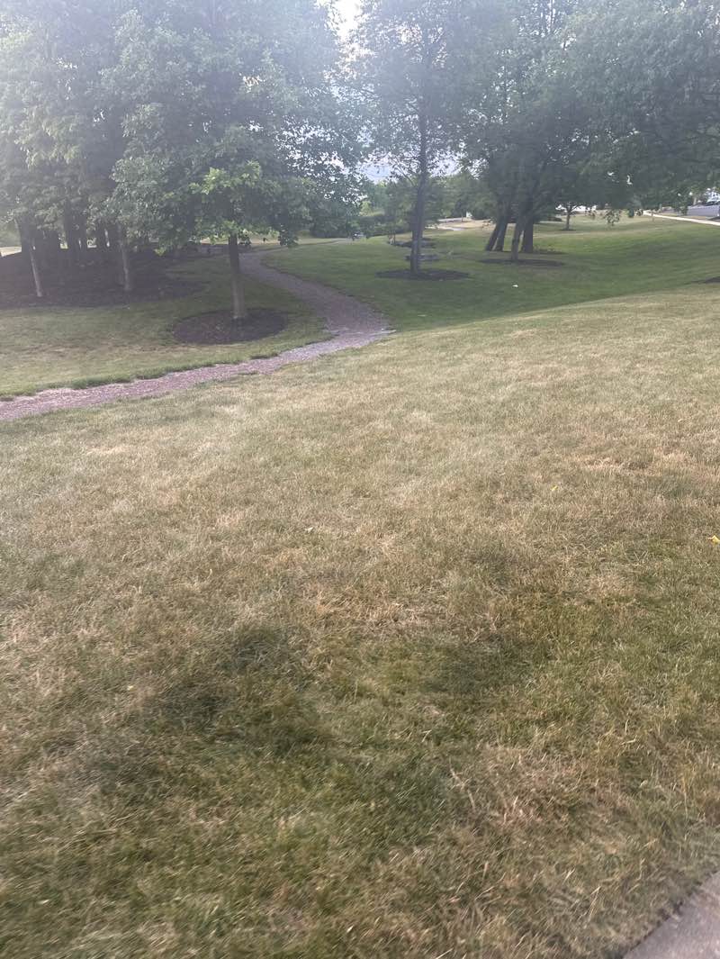 walking near me in Terra Park in summer