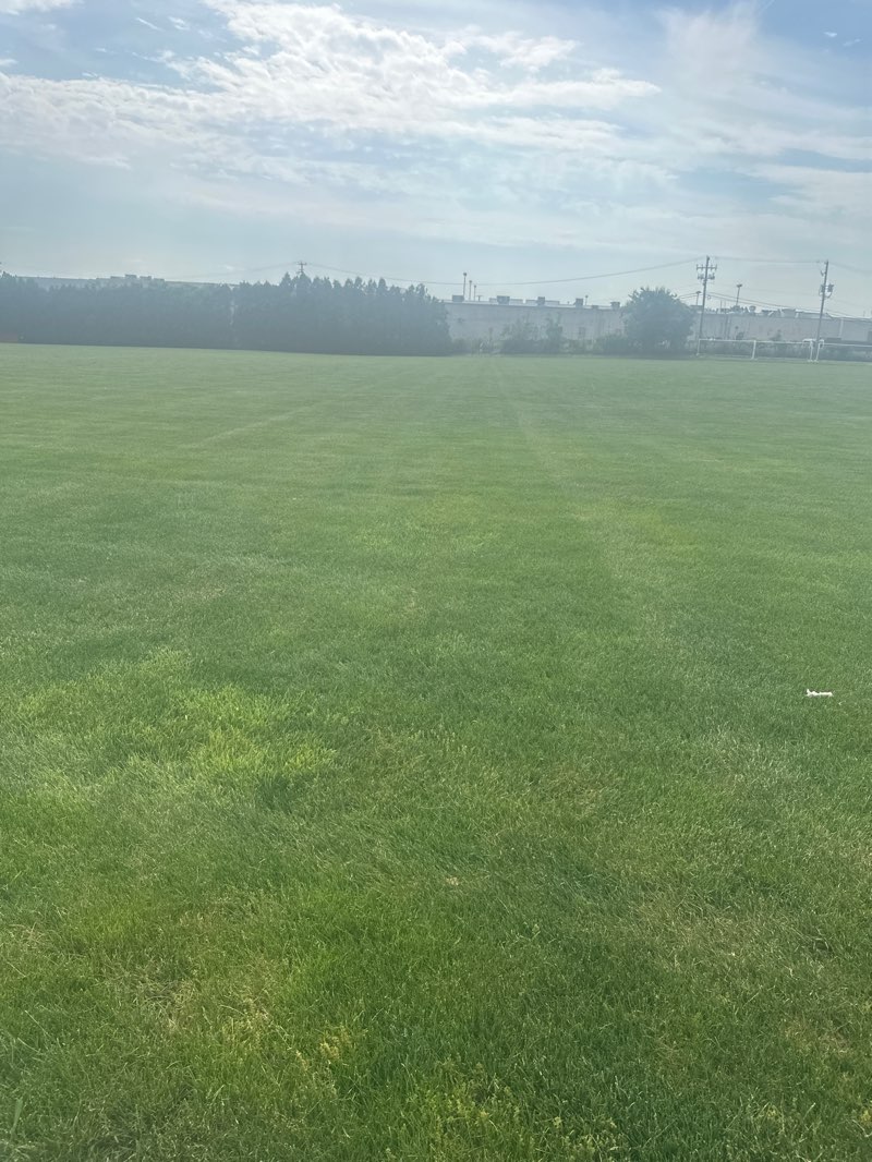 walking near me in Hampden Park in summer