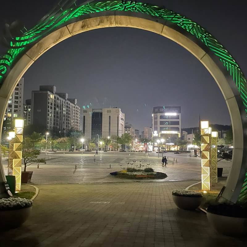 Capybara walking Sonny post image
