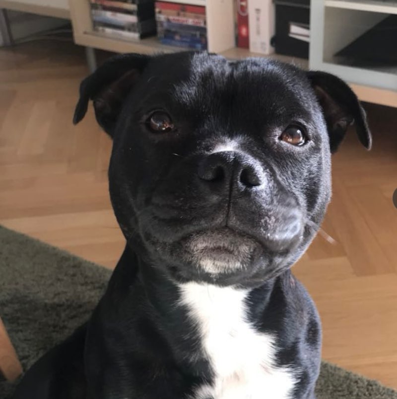 Agnes Nyström profile