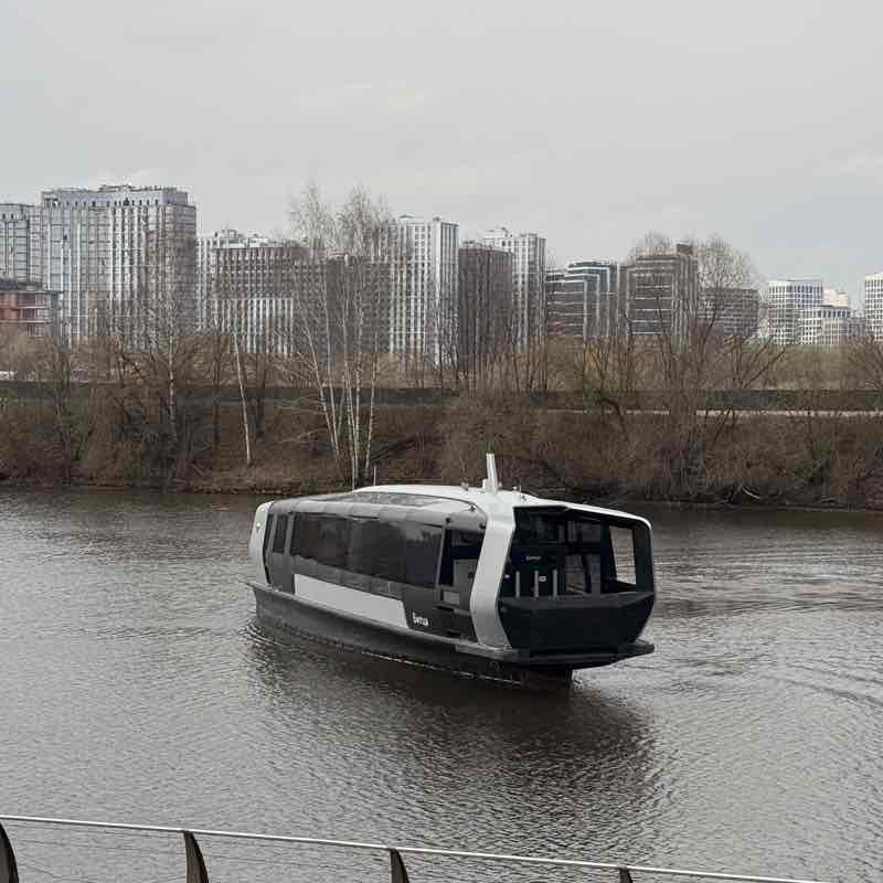 GSL Team Алина post image