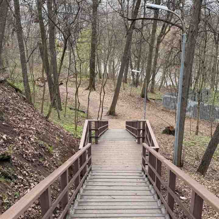 GSL Team Алина post image