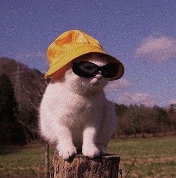 [9KAO] Wannaphon icon