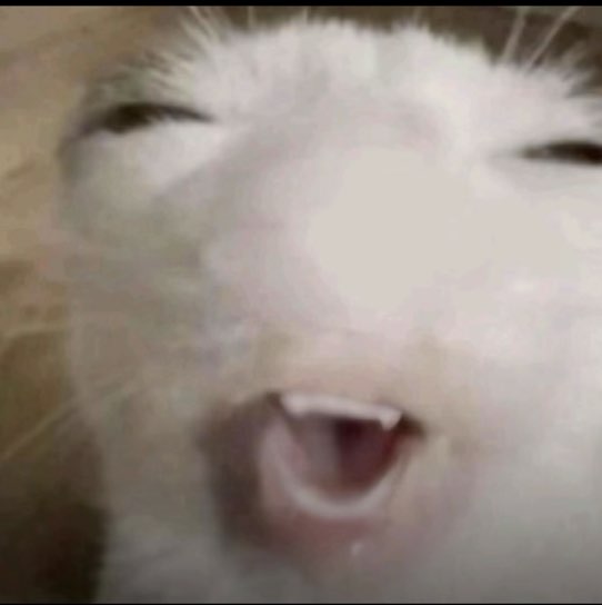 sam