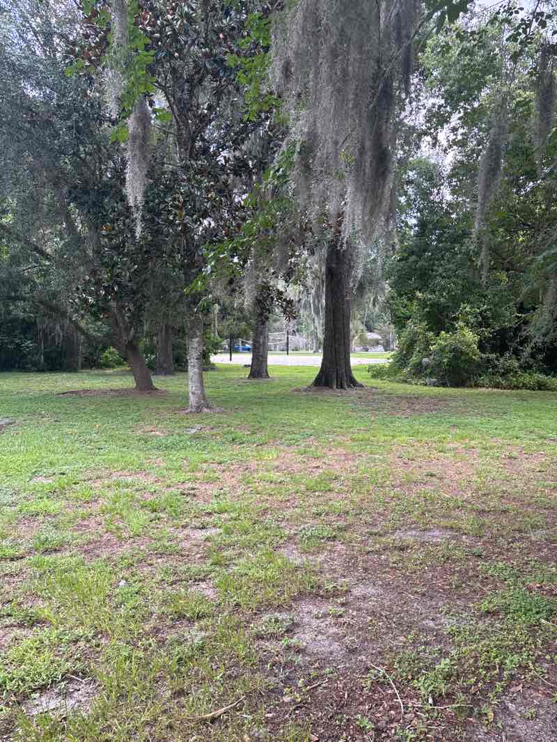 walking near me in Pawmosa Park in summer