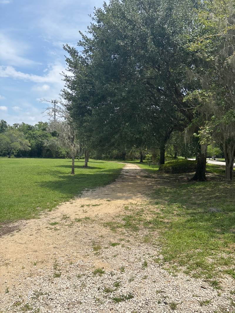 walking near me in Sunnytown Park in summer