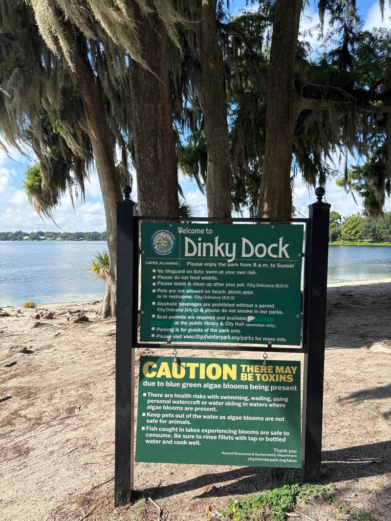 walking near me in Dinky Dock Park in summer