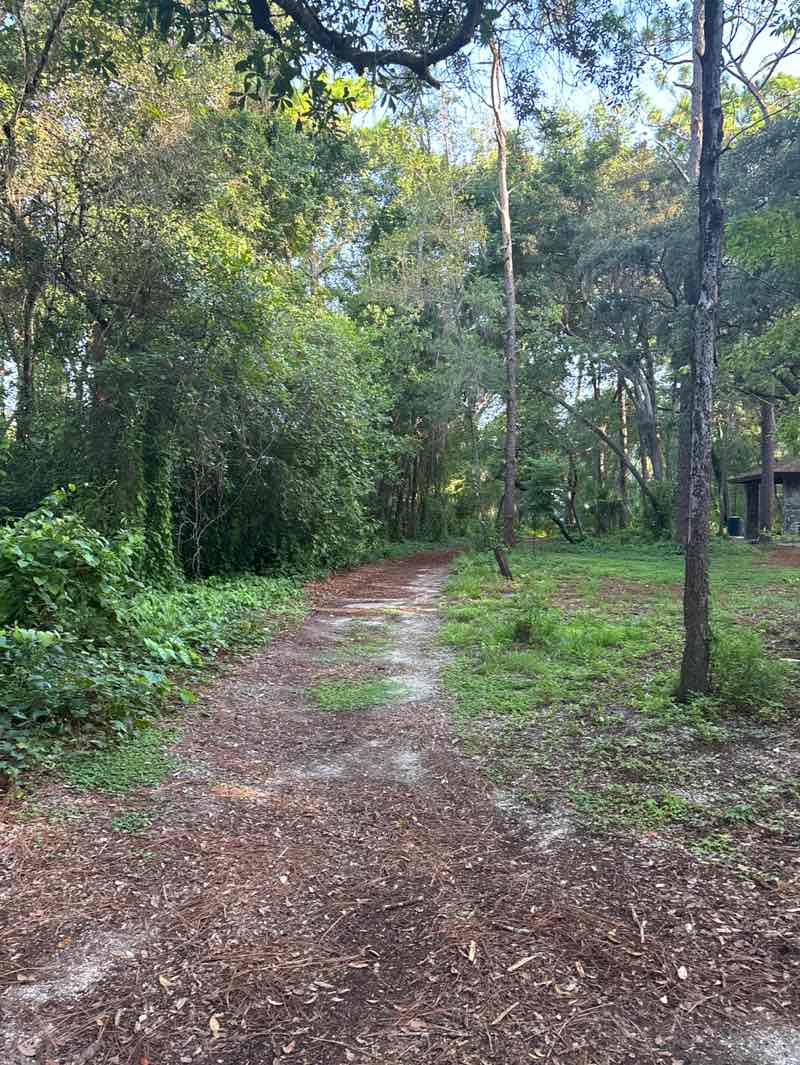 walking near me in Sanlando Park in summer