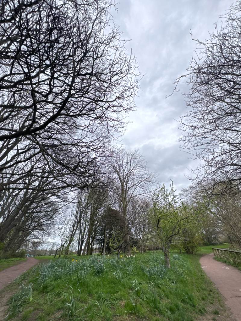 walking near me in Jesmond Dene in spring