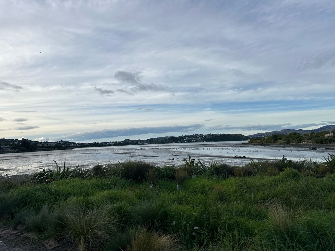 walking near me in Te Rauparaha Park in autumn