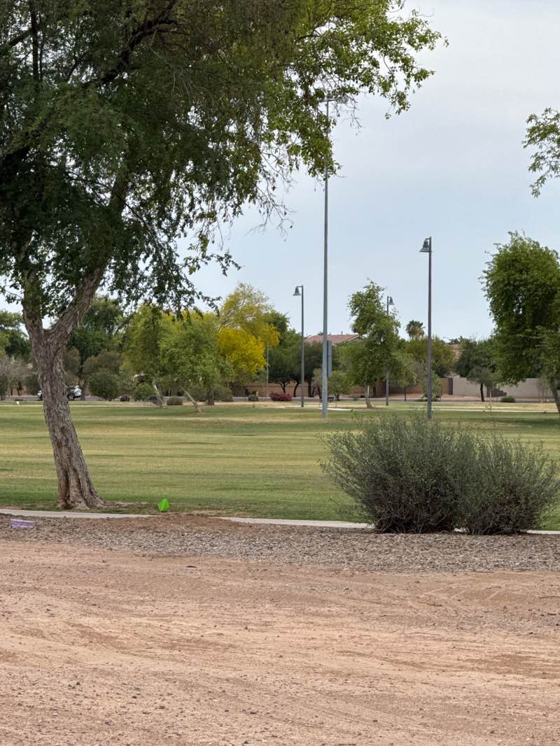 walking near me in Chuparosa Park in summer