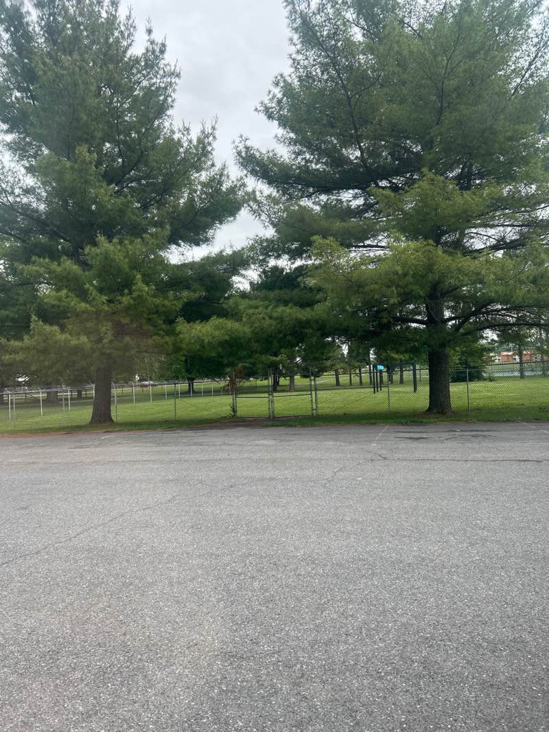 walking near me in Chet Monet Park in summer