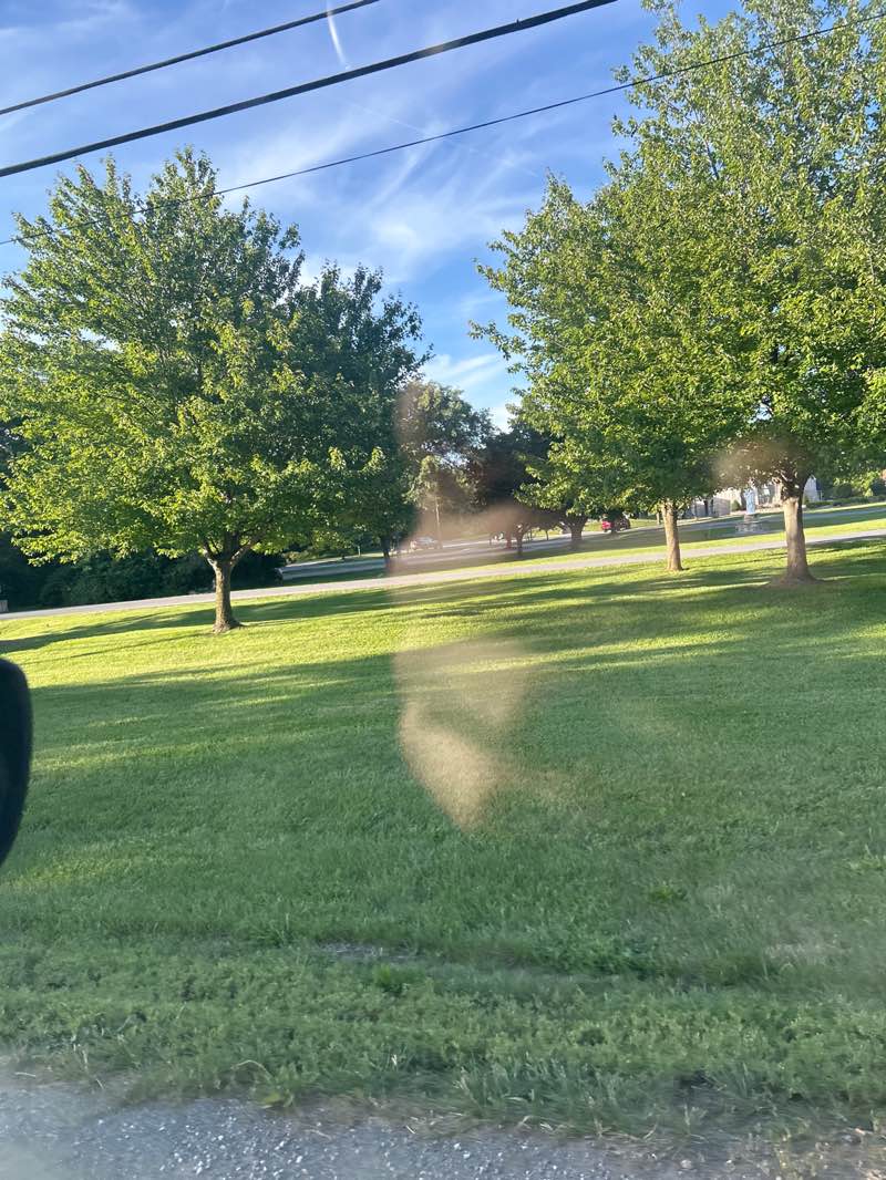 walking near me in Clarke County Fairgrounds in summer