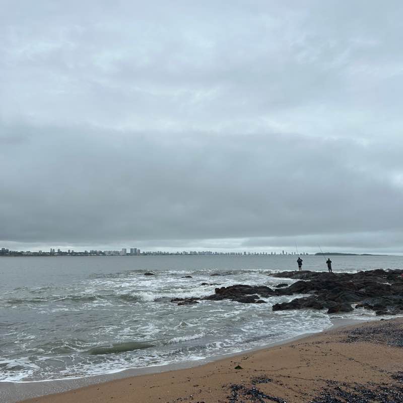 Steps Marathon (KOSMOS) Nana post image