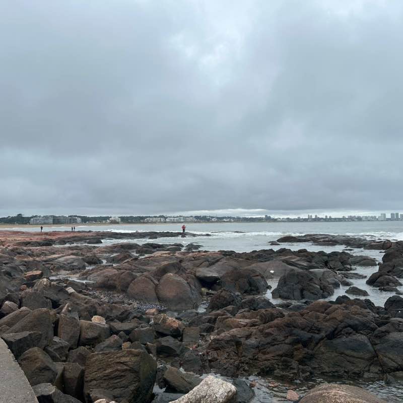 Steps Marathon (KOSMOS) Nana post image