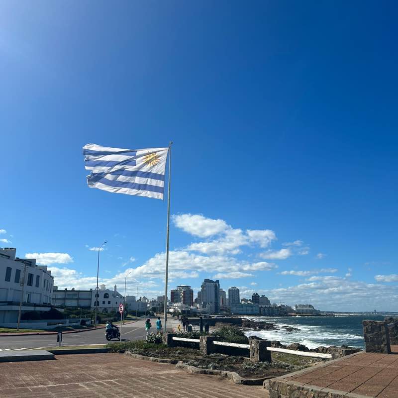 Steps Marathon (KOSMOS) Nana post image