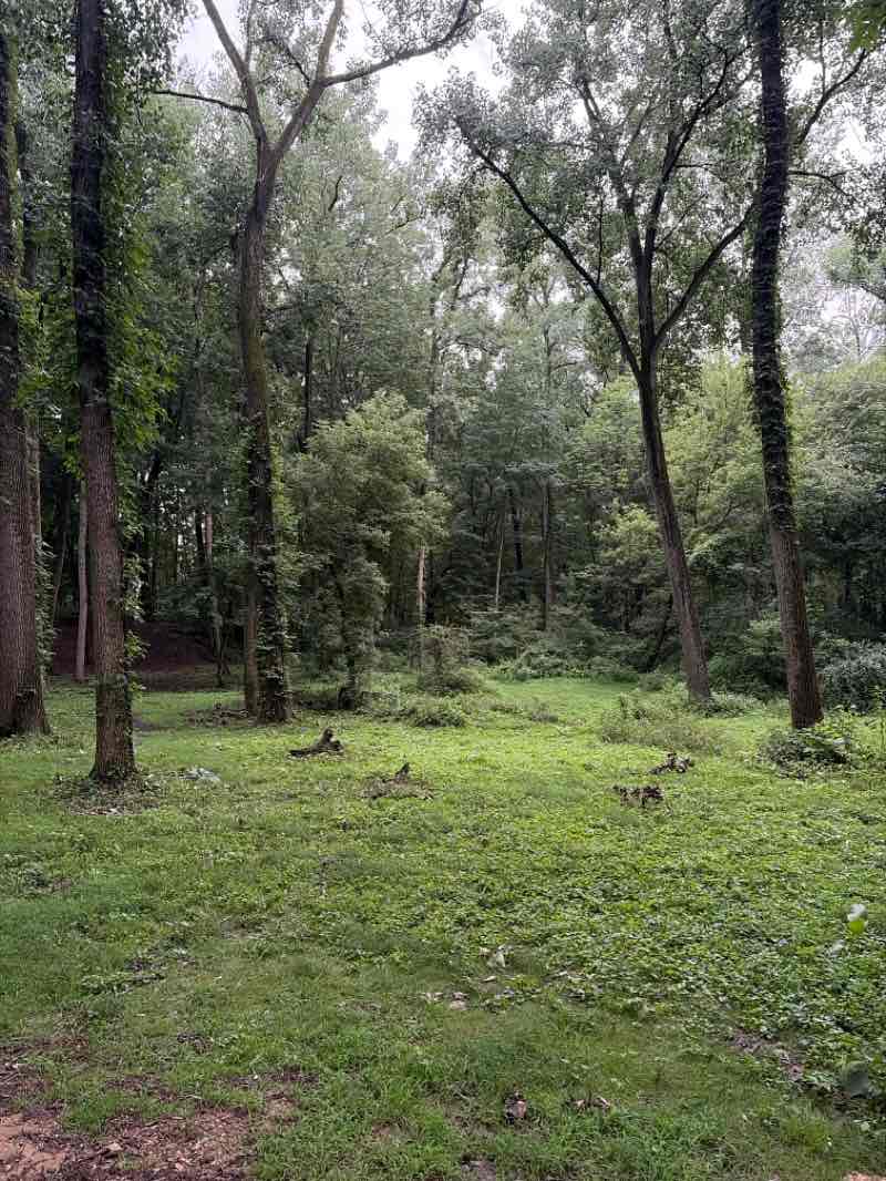 walking near me in Portage Lakes State Park in summer