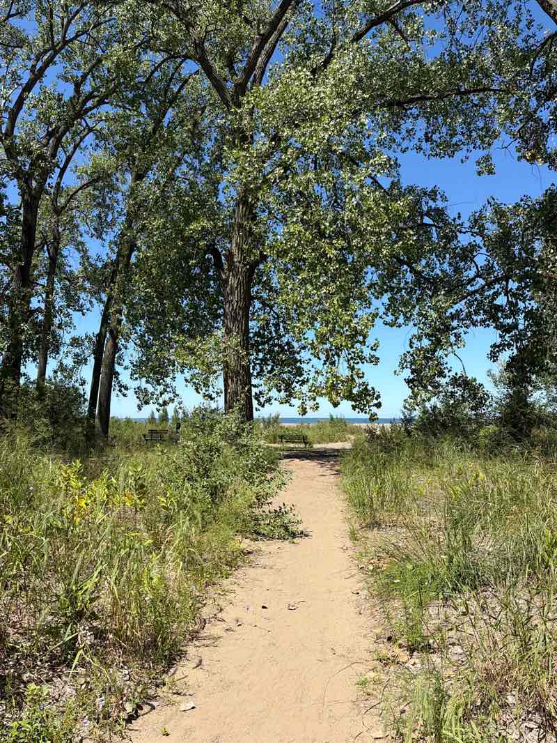 walking near me in Headlands Beach State Park in summer