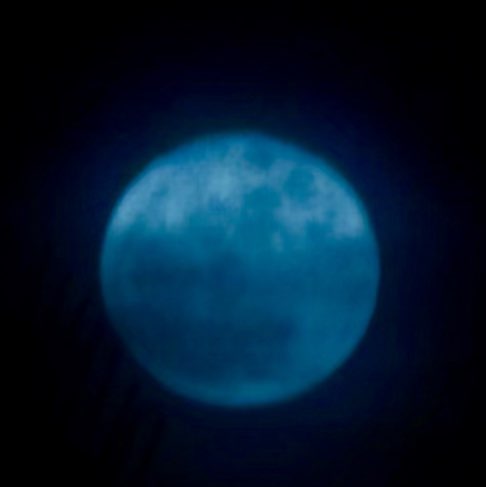 Pasote Guillermo post image