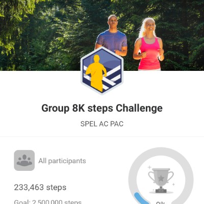 SPEL AC PAC Loganathan R post image