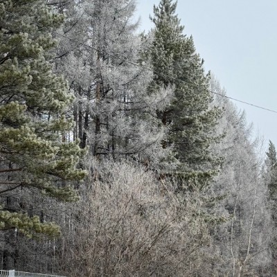 Клуб 5 утра.🕔🏃 oksanalotova88 post image