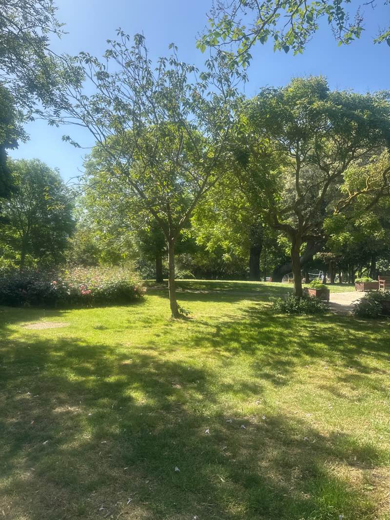 walking near me in Pierremont Park in summer